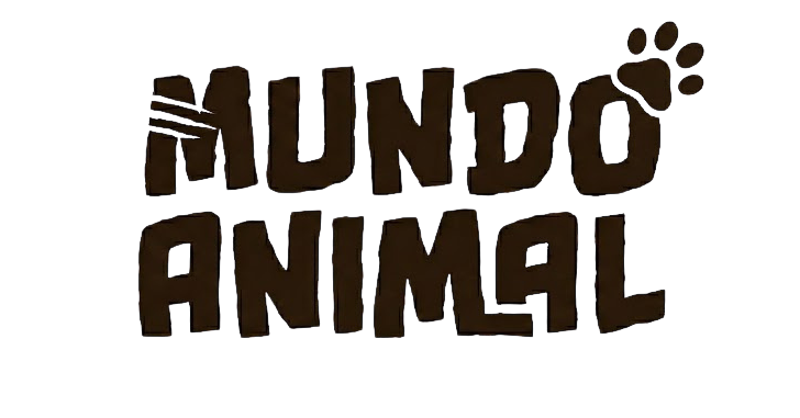 mundoanimalpetloja.com.br