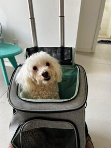 Foto do cliente
